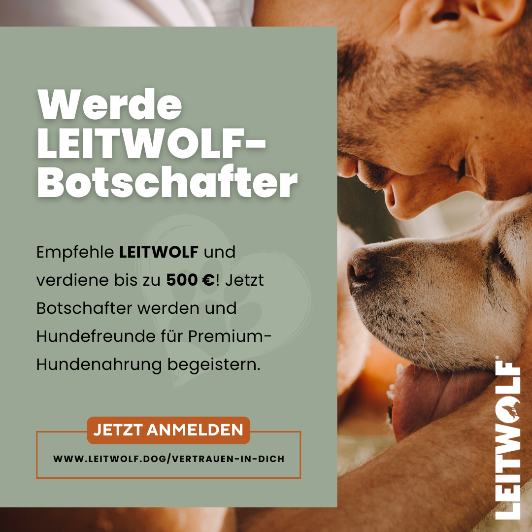 Social-Media-Post von Leitwolf – Artgerechte Hundeernährung und nachhaltige Fütterungskonzepte