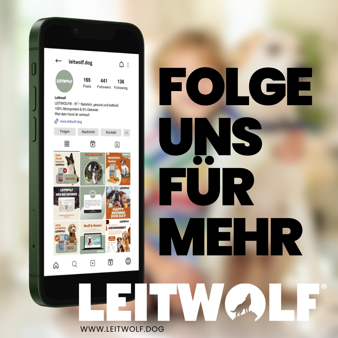 Leitwolf Hundefutter – Gesunde und ausgewogene Ernährung für Hunde auf Social Media präsentiert