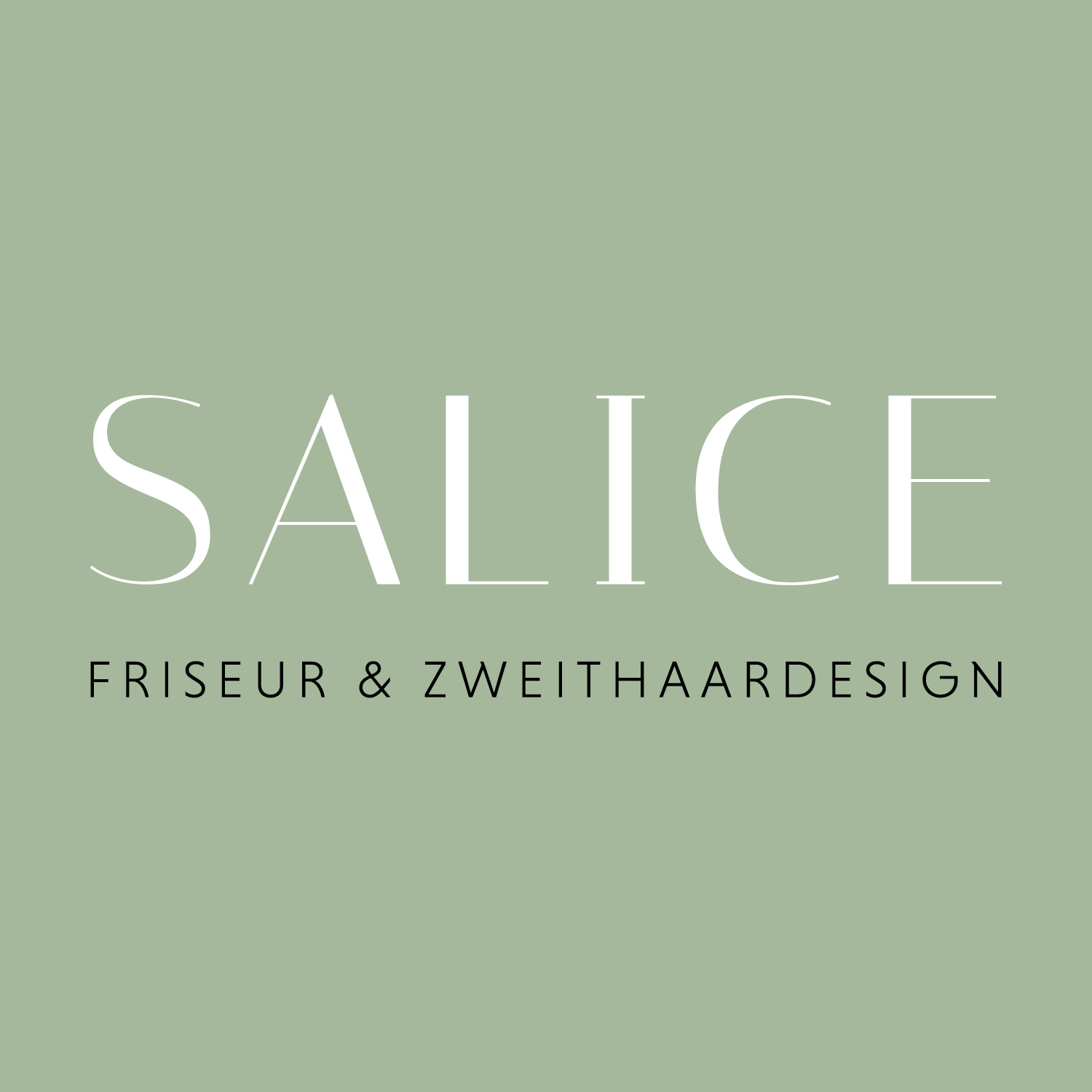 Social Media Marketing Black Friday Strategien für Salice Friseur